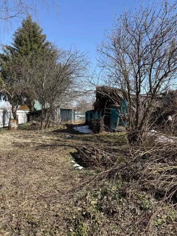 Участок в Нижегородская область, Бор муниципальный округ, д. Марково ... - Фото 2