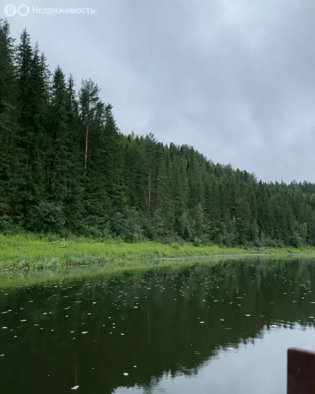 Участок в Свердловская область, муниципальный округ Нижний Тагил, село ... - Фото 0