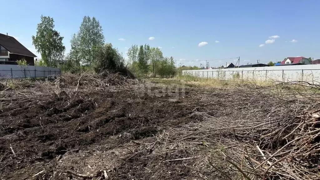 Участок в Тюменская область, Тюмень Россиянка садовое товарищество, ... - Фото 1