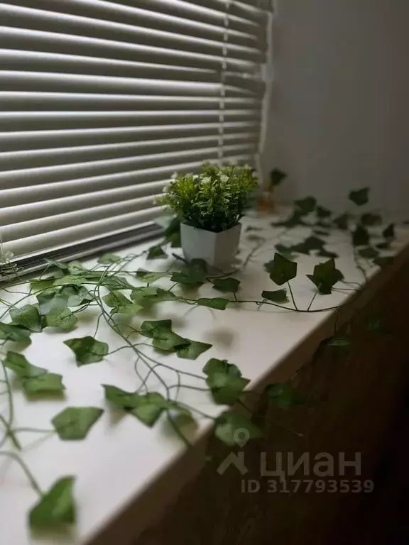 1-к кв. Башкортостан, Туймазы ул. Чапаева, 63 (40.0 м) - Фото 0