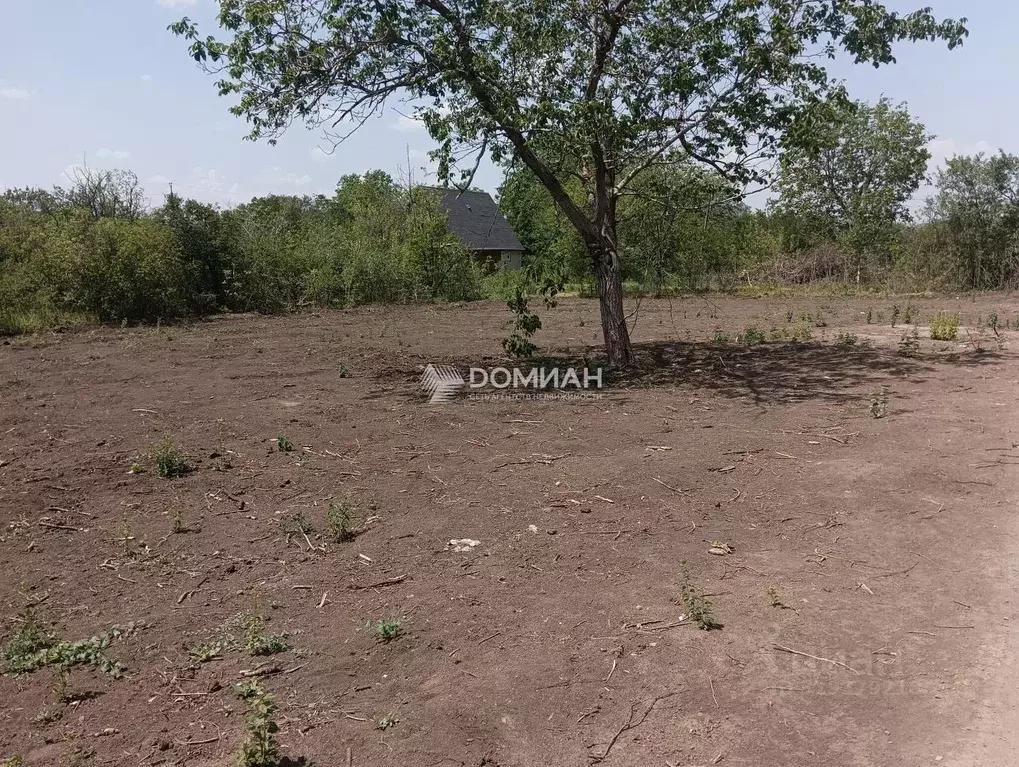 Участок в Ростовская область, Новочеркасск № 16 садовое товарищество, ... - Фото 1