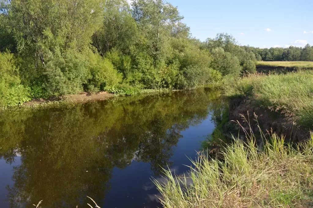 Участок в Кировская область, Кирово-Чепецкий район, Чепецкое с/пос  ... - Фото 2