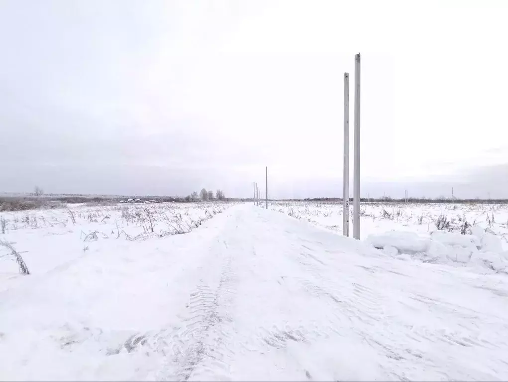 Участок в Ленинградская область, Волховский район, Староладожское ... - Фото 1