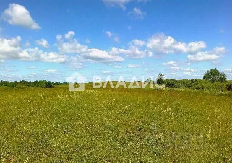 Участок в Ленинградская область, Ломоносовский район, Русско-Высоцкое ... - Фото 2
