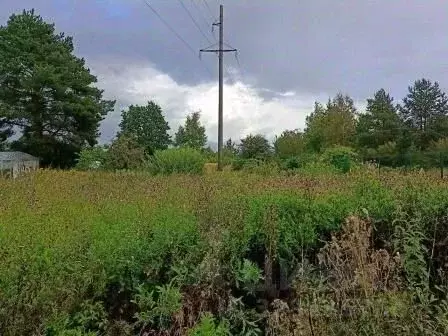 Участок в Ленинградская область, Тосно г. Тосненский район, Тосненское ... - Фото 1