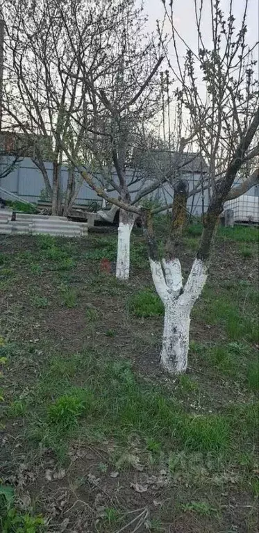 Дом в Белгородская область, Белгородский район, с. Стрелецкое ... - Фото 1