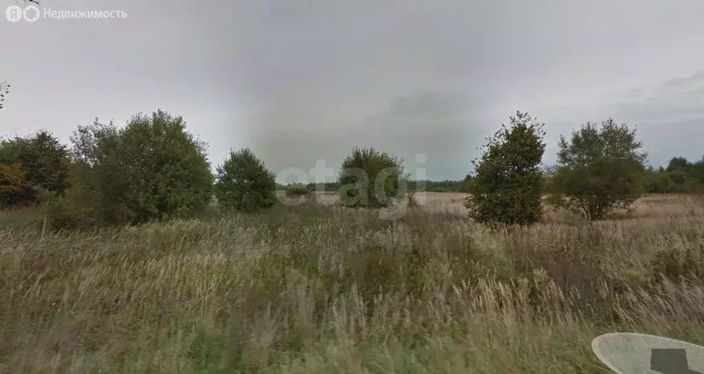 Участок в Калининградская область, Полесский муниципальный округ, ... - Фото 1