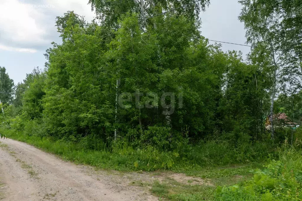 Участок в Новосибирская область, Коченёвский муниципальный район, ... - Фото 1