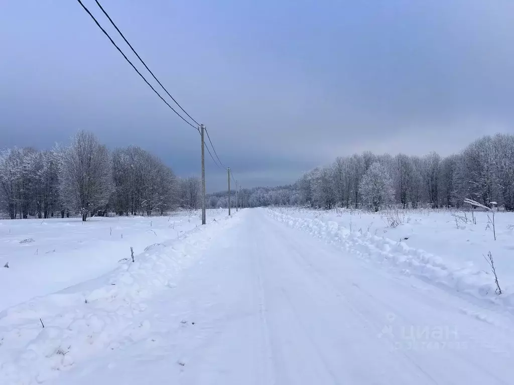 Участок в Ленинградская область, Ломоносовский район, Лопухинское ... - Фото 1