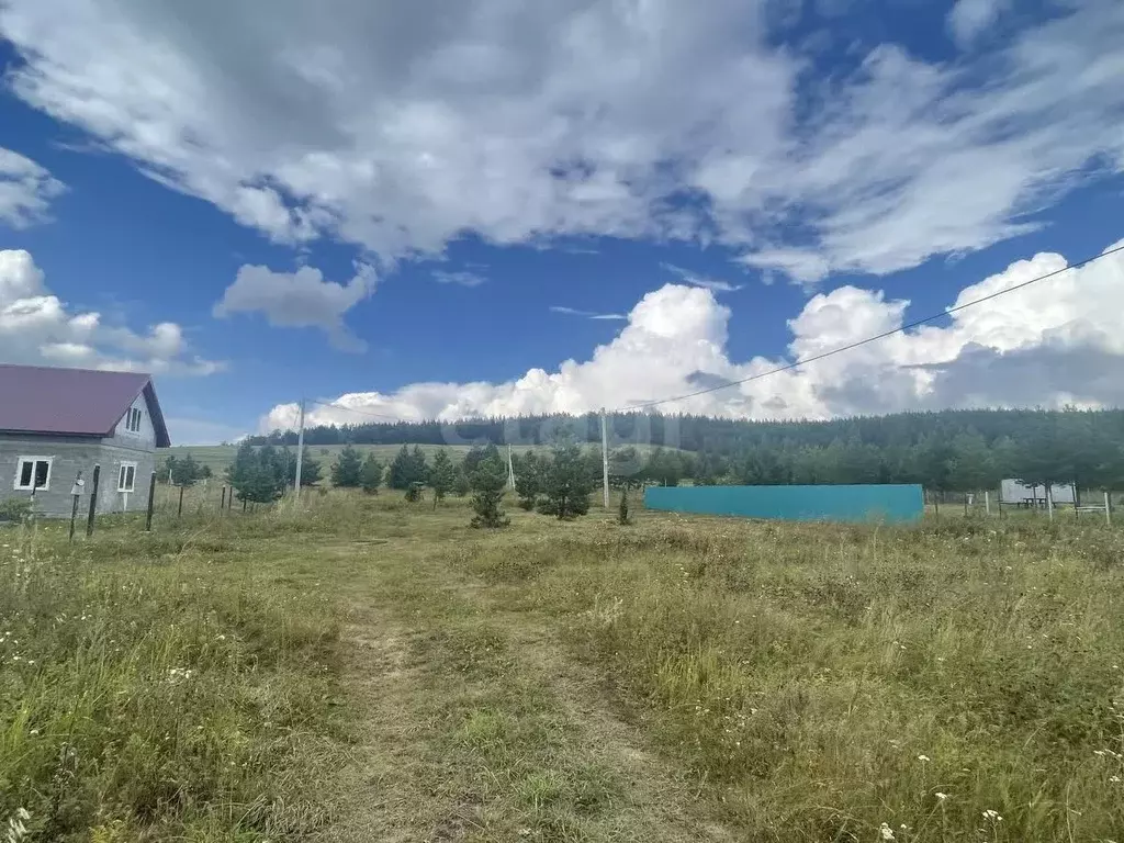 Участок в Ульяновская область, Тереньгульский район, Подкуровское ... - Фото 2