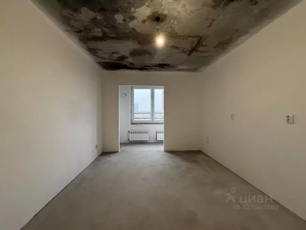 Студия Томская область, Томск просп. Ленина, 206В (25.0 м) - Фото 1