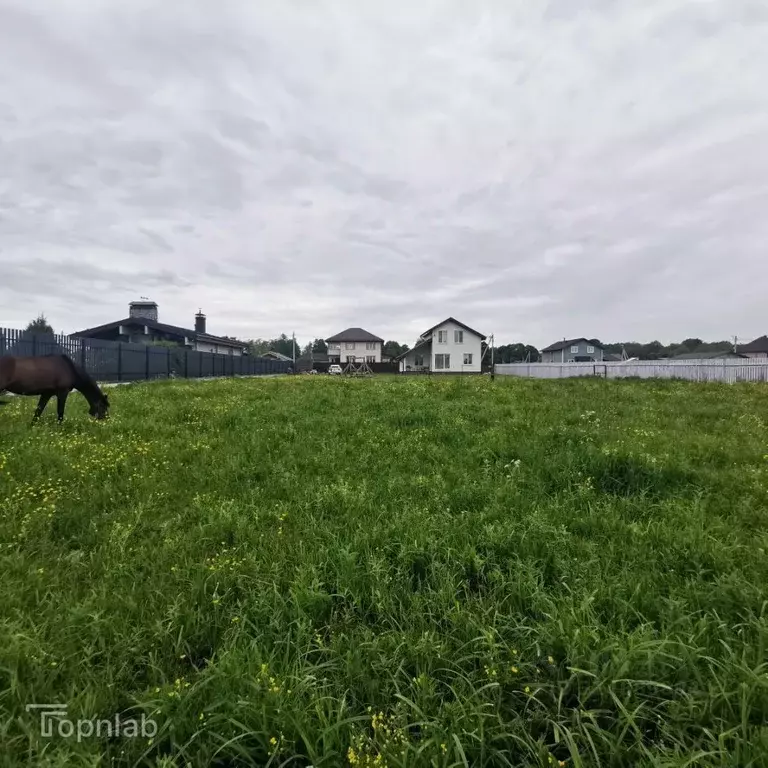 Участок в Ленинградская область, Ломоносовский район, Низинское с/пос, ... - Фото 1