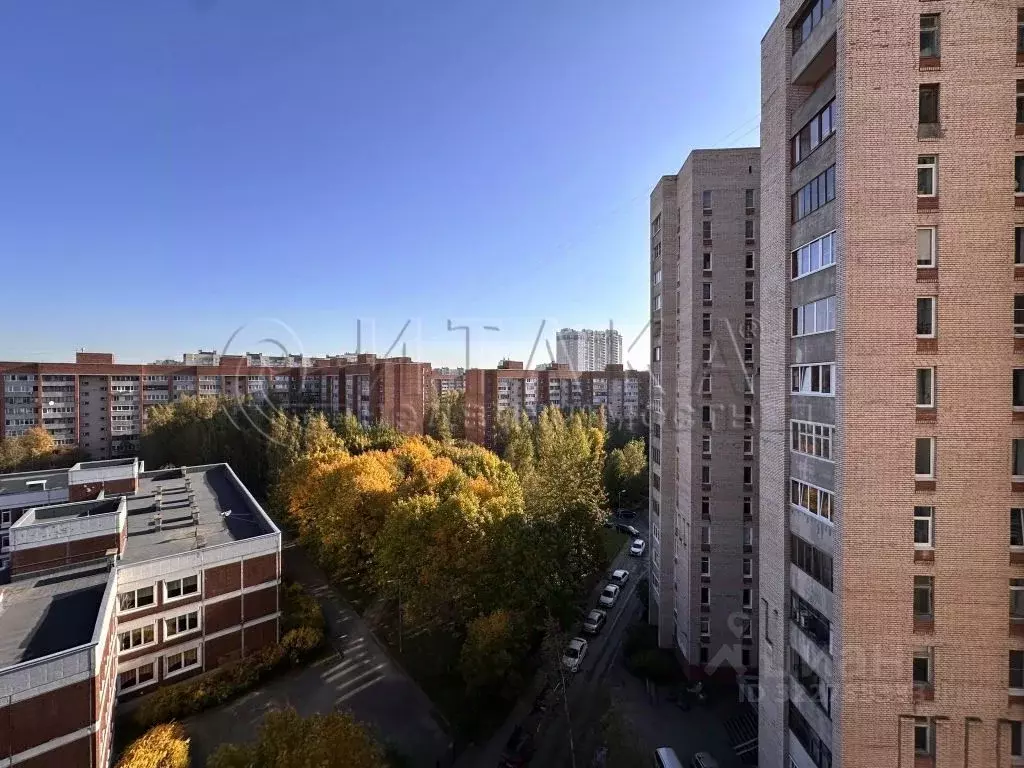 1-к кв. Санкт-Петербург ул. Ильюшина, 15К2 (30.8 м) - Фото 1