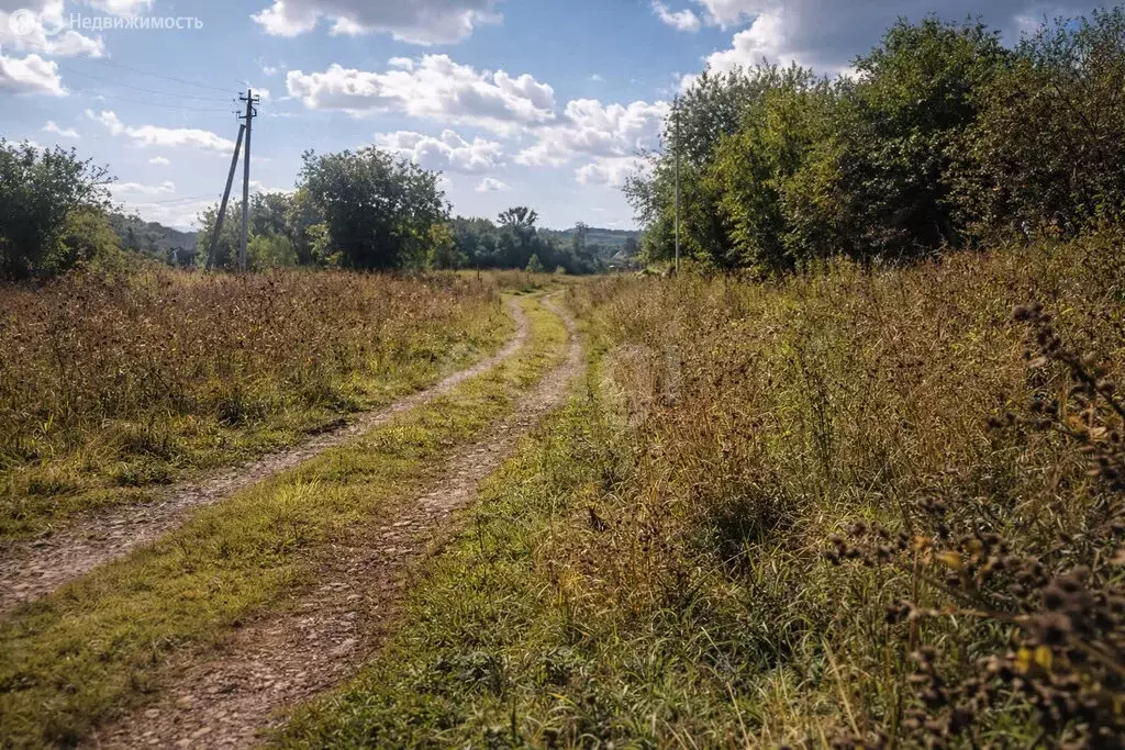 Участок в Новосибирская область, Маслянинский муниципальный округ, ... - Фото 2