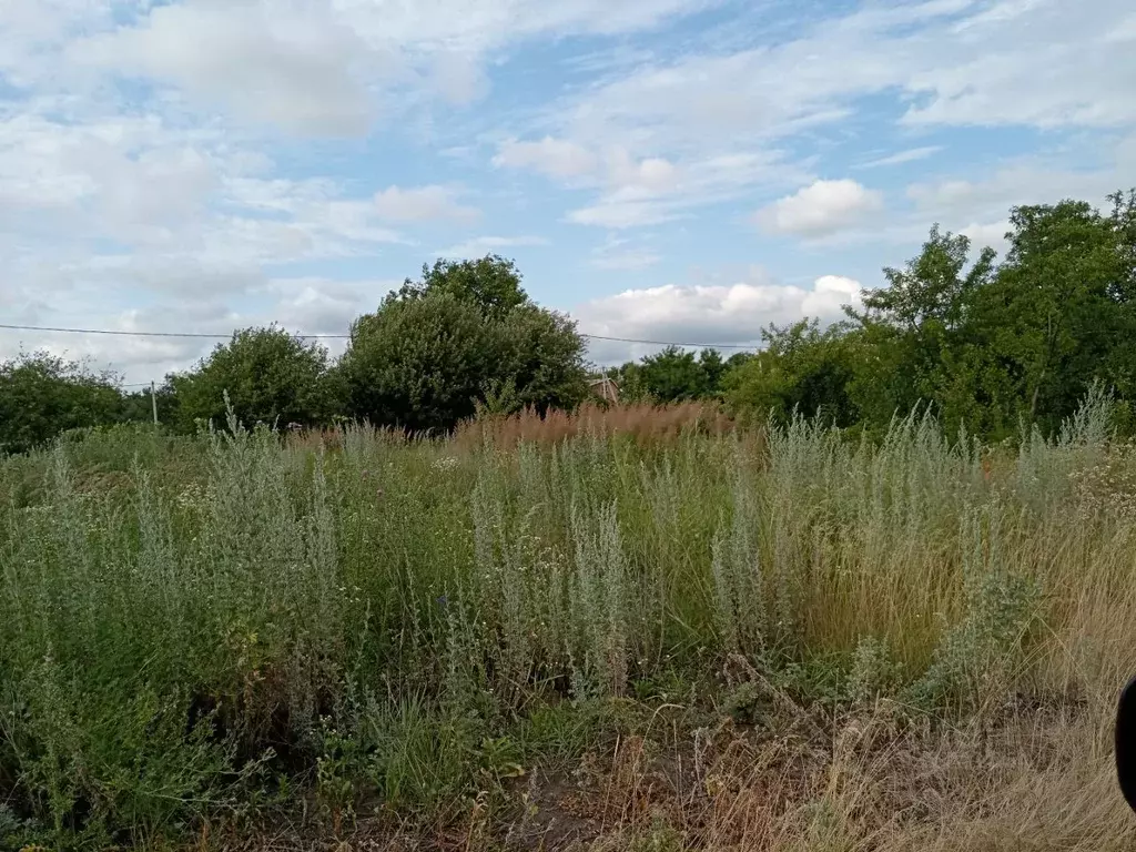 Участок в Белгородская область, Строитель Яковлевский городской округ, ... - Фото 2