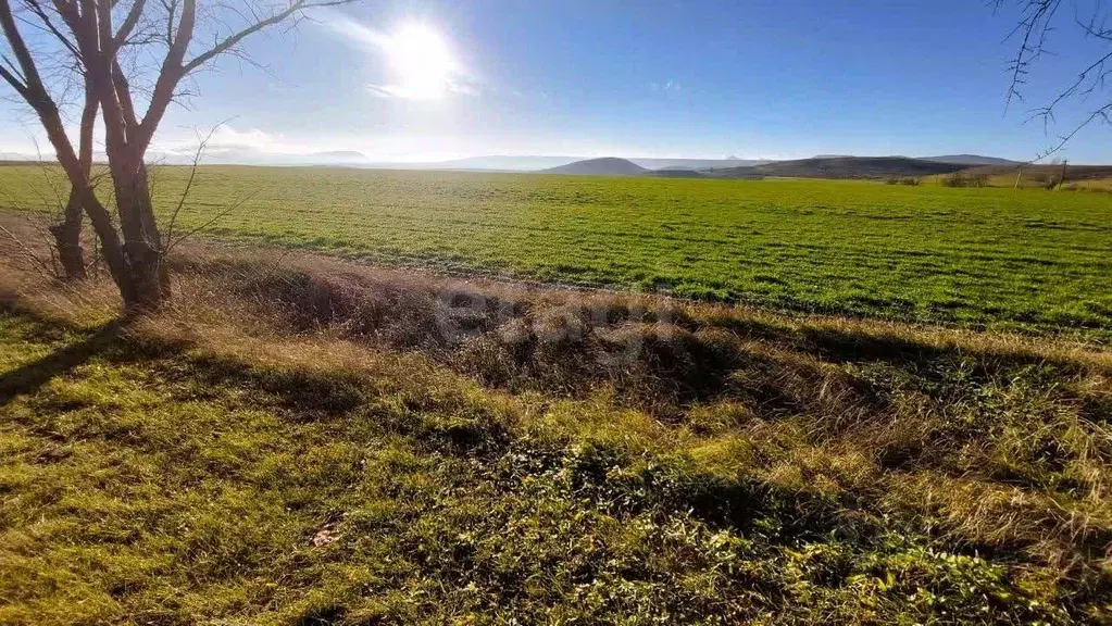 Участок в Крым, Ленинский район, с. Калиновка ул. Шевченко (100.0 ... - Фото 1