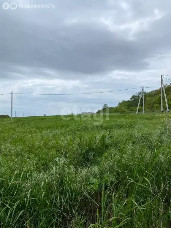 Участок в Краснодарский край, городской округ Новороссийск, станица ... - Фото 1