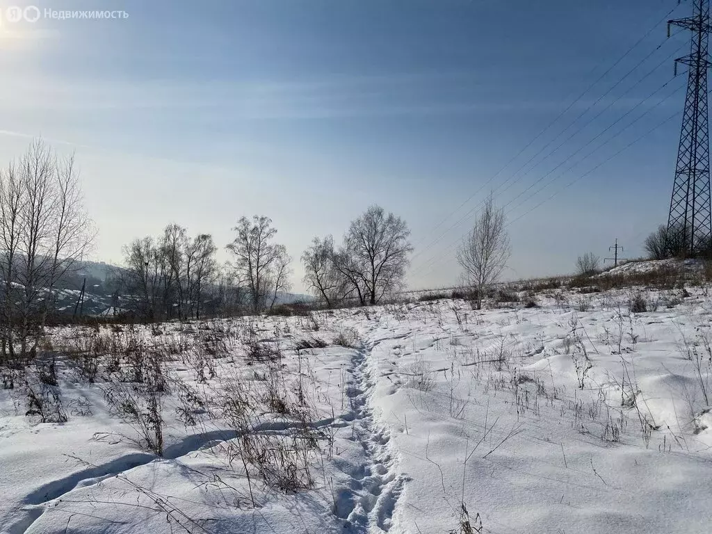 Участок в Солонцовский сельсовет, дачное некоммерческое товарищество ... - Фото 1