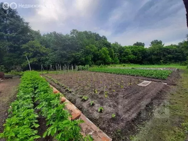 дом в партизанский городской округ, село казанка, центральная улица . - Фото 1