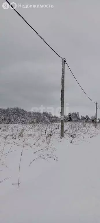 Участок в Колыванский район, НСТ Проектировщик (12 м) - Фото 2