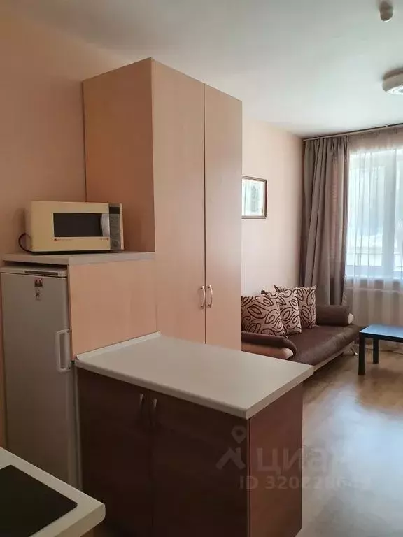 Студия Удмуртия, Ижевск Нижняя ул., 2 (27.0 м) - Фото 2