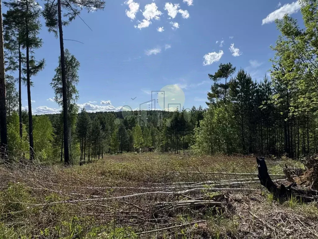 Участок в Иркутская область, Иркутский муниципальный округ, Маркова ... - Фото 1