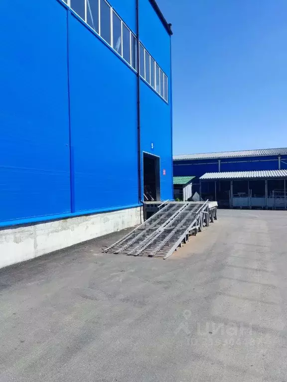 Склад в Брянская область, Брянск Вокзальная ул., 120Б (250 м) - Фото 1
