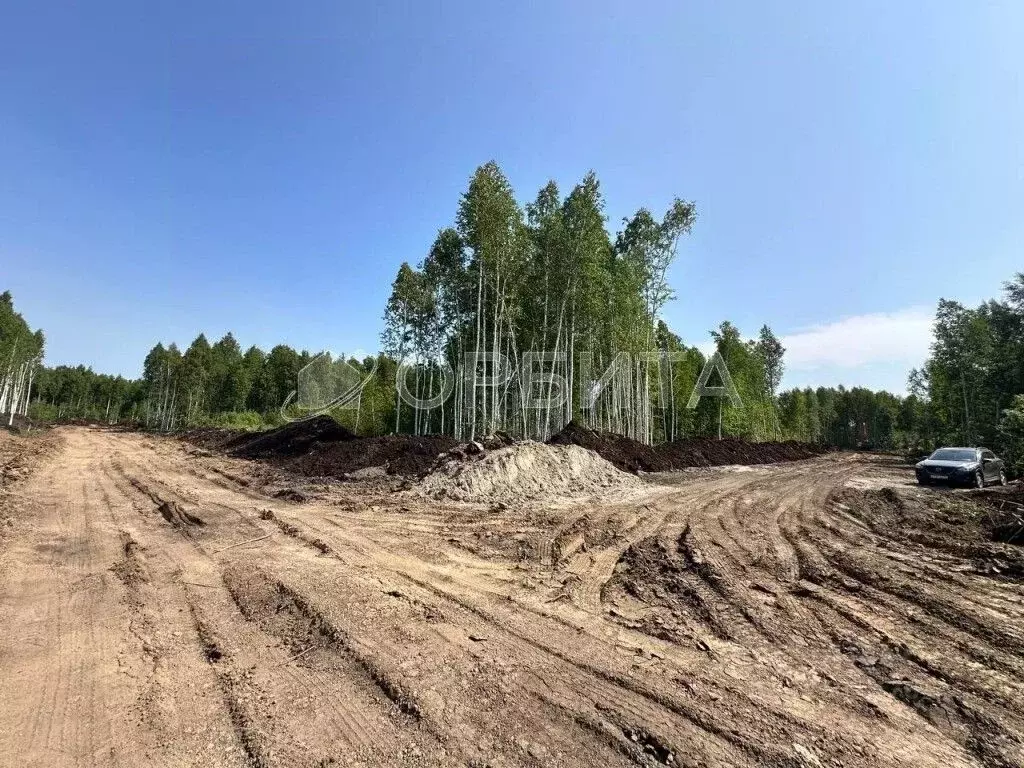 Участок в Тюменская область, Тюмень СОСН Березовое Озеро тер., ул. ... - Фото 1