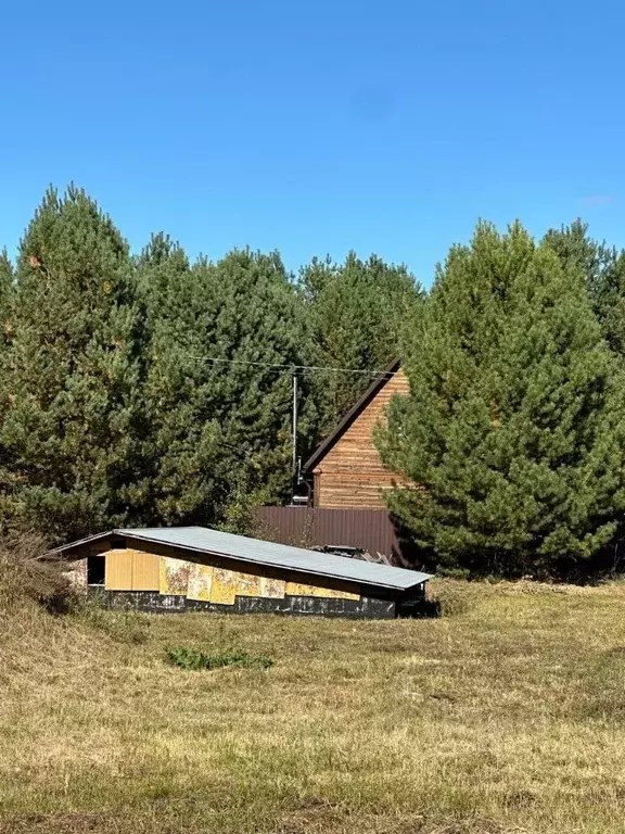 Участок в Пензенская область, Бессоновский район, пос. Подлесный ... - Фото 0