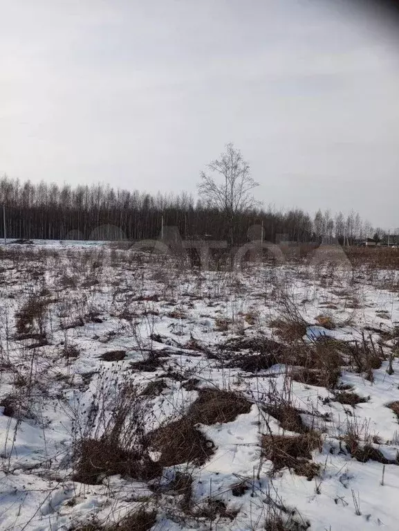 Участок 12,2 сот. (СНТ, ДНП) - Фото 0