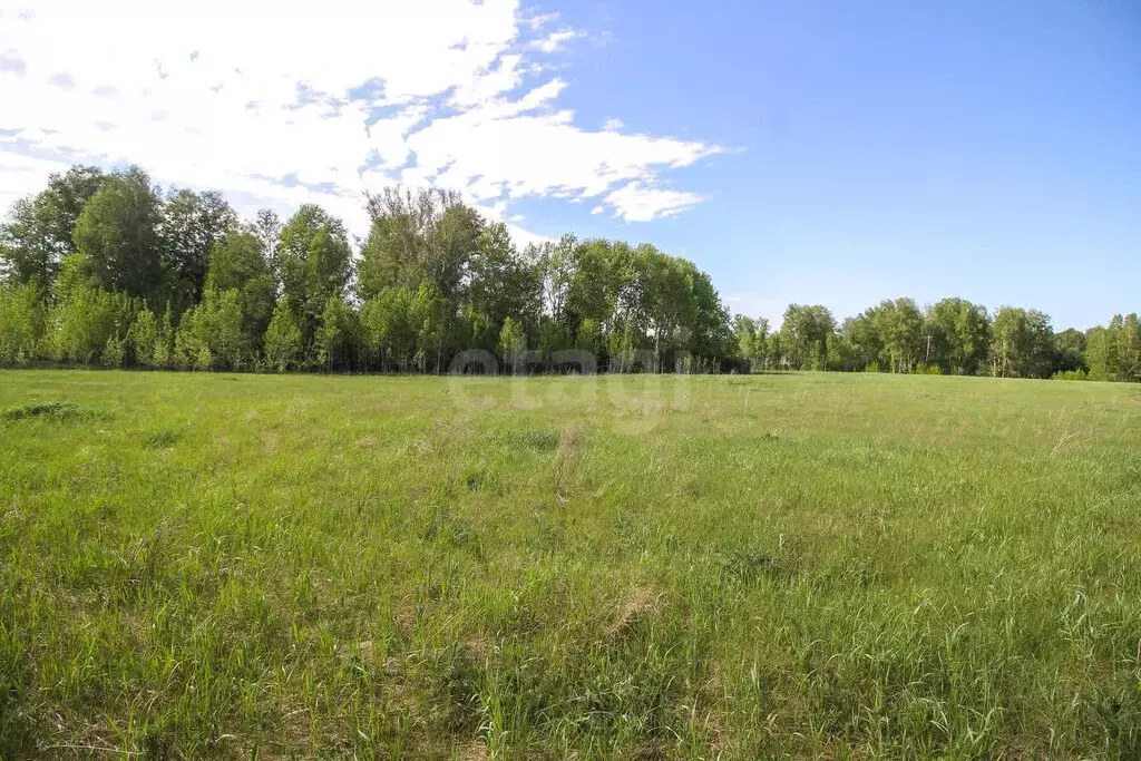 Участок в Фирсово, микрорайон Полесье (10.7 м) - Фото 1