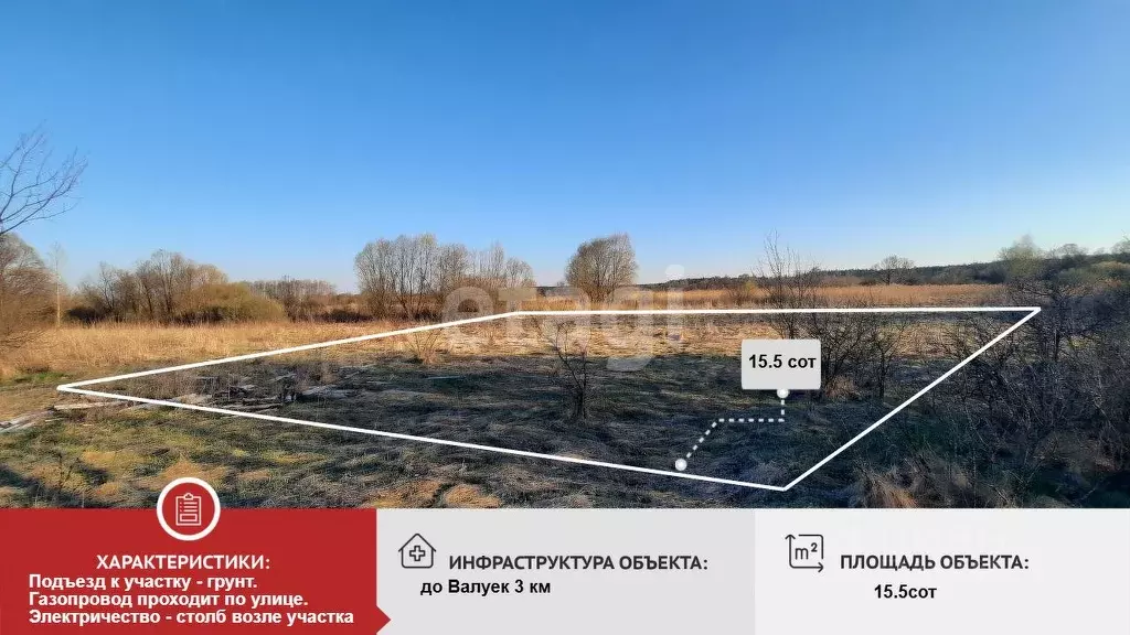 Участок в Белгородская область, Валуйский муниципальный округ, с. ... - Фото 2