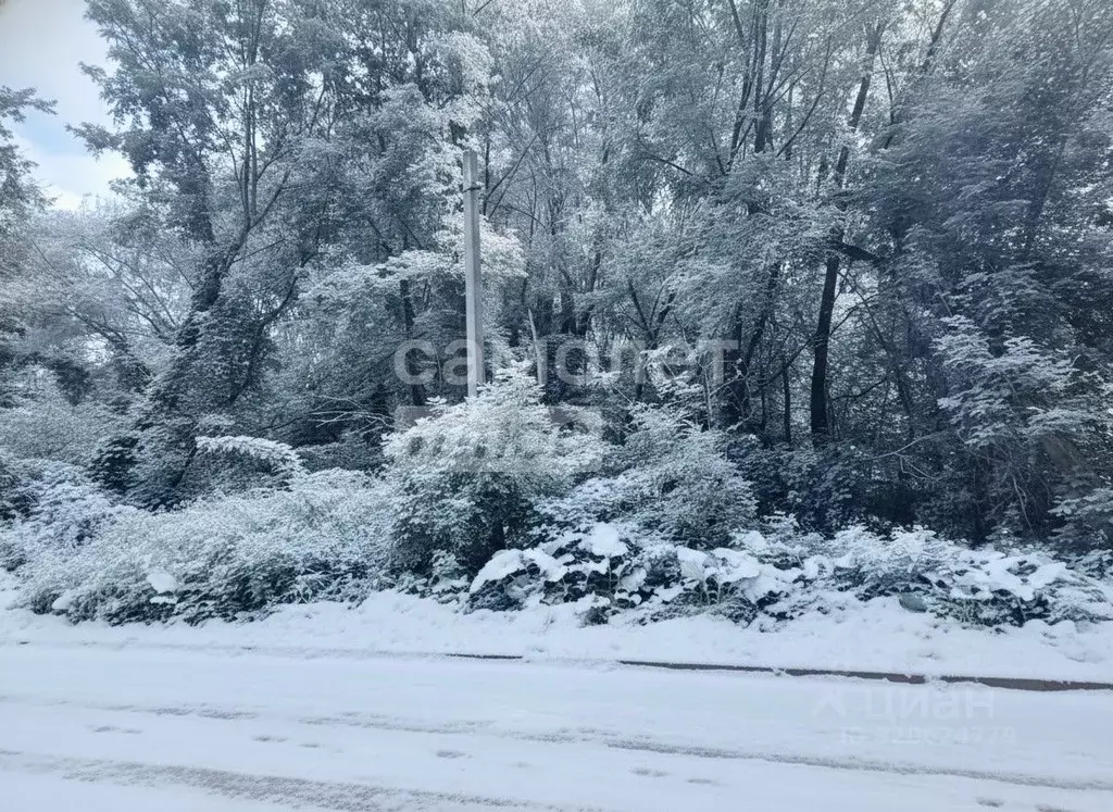 Участок в Воронежская область, Воронеж ул. Дарвина (8.0 сот.) - Фото 0
