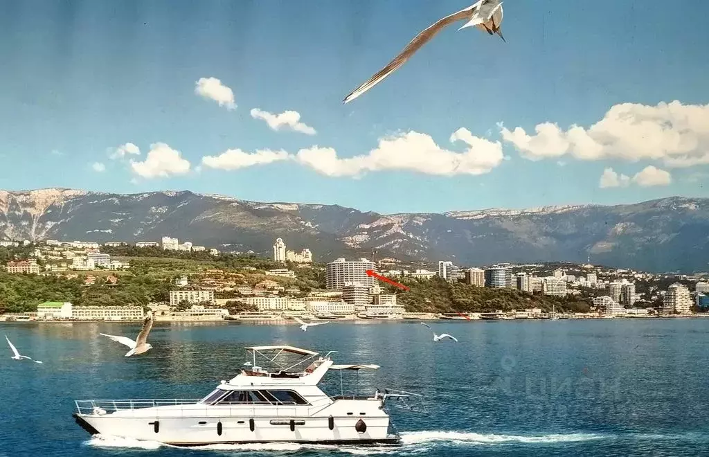 2-к кв. Крым, Ялта муниципальный округ, Ливадия пгт ул. Виноградная, ... - Фото 2