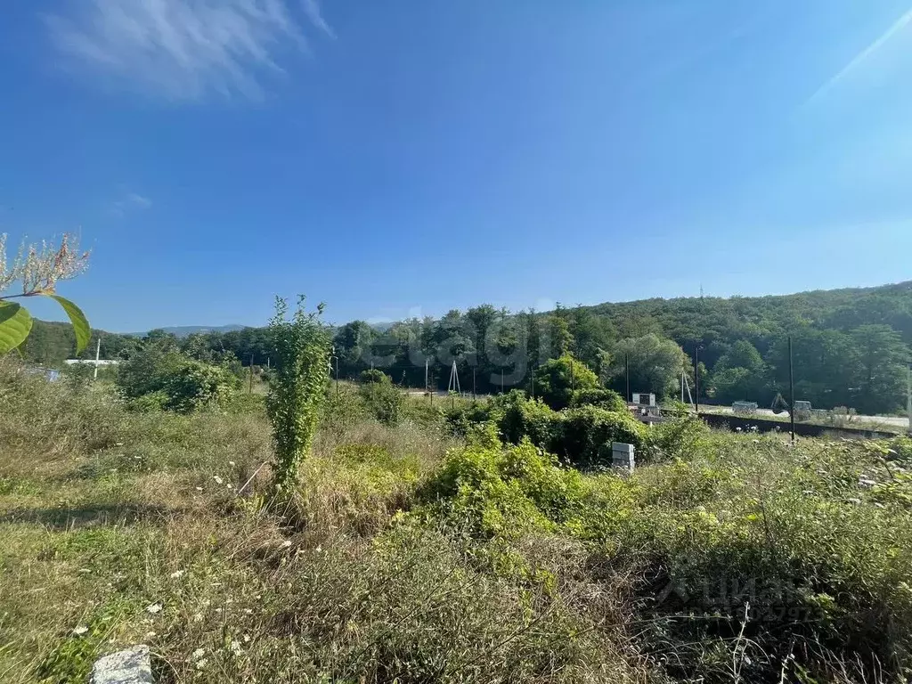 Участок в Краснодарский край, Геленджик городской округ, с. Адербиевка ... - Фото 0