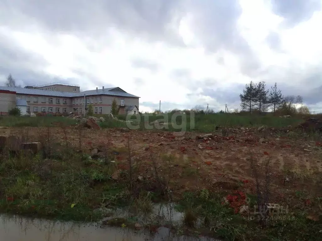 Участок в Вологодская область, Сокольский муниципальный округ, ... - Фото 1