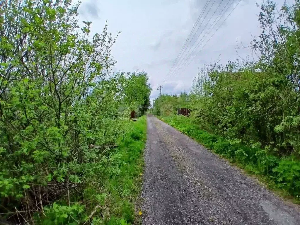 Участок в Ленинградская область, Волховский район, Кисельнинское ... - Фото 1
