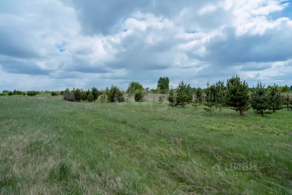 Участок в Алтайский край, Бийский район, Зверовод СДТ ул. Вишневая, ... - Фото 1