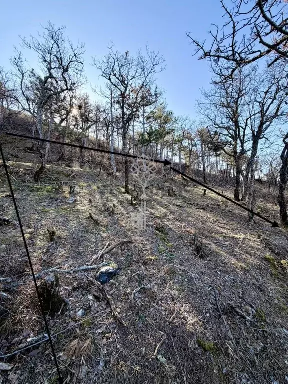Участок в Крым, Алушта муниципальный округ, пос. Семидворье  (5.0 ... - Фото 1