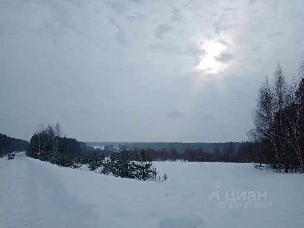 Участок в Нижегородская область, Богородский муниципальный округ, д. ... - Фото 1