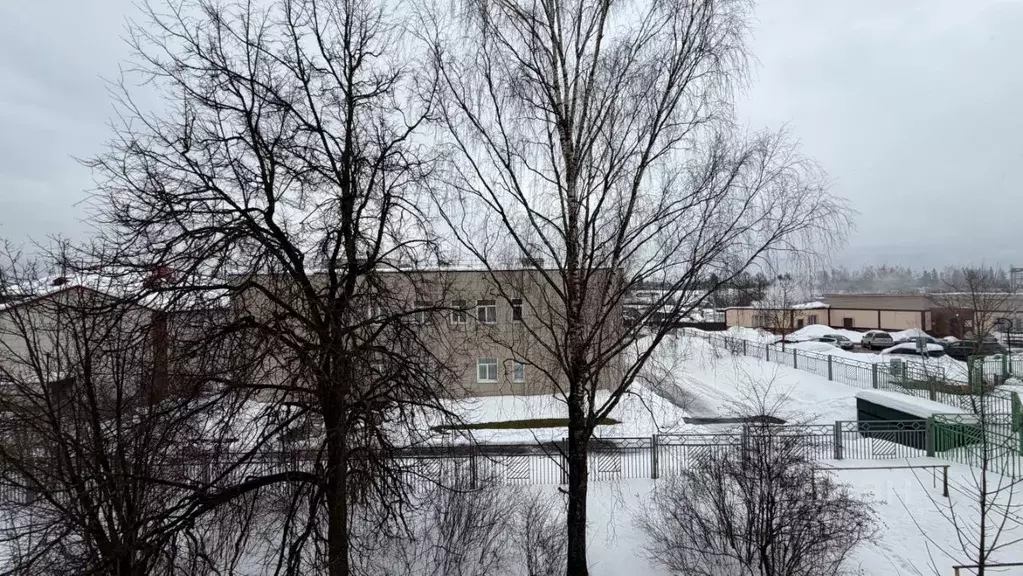 2-к кв. Московская область, Химки городской округ, пос. Лунево ул. ... - Фото 2