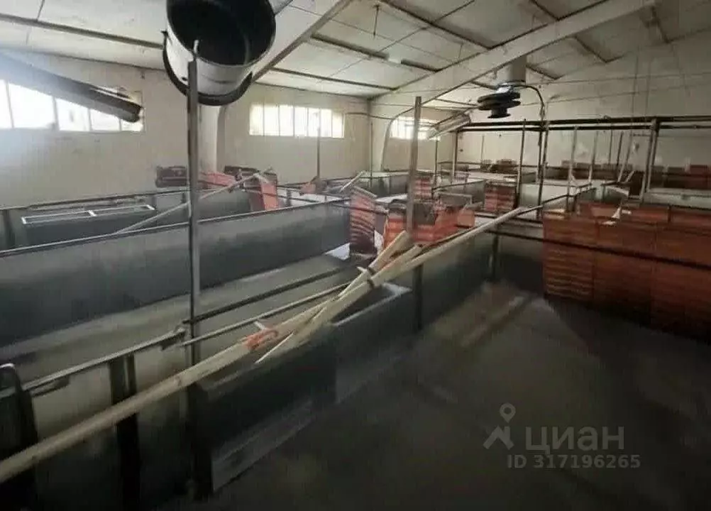 Склад в Москва д. Кузнецово,  (52000 м) - Фото 1