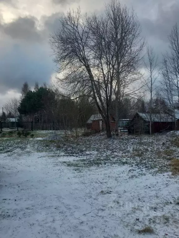 Участок в Ленинградская область, Ломоносовский район, Лебяженское ... - Фото 0