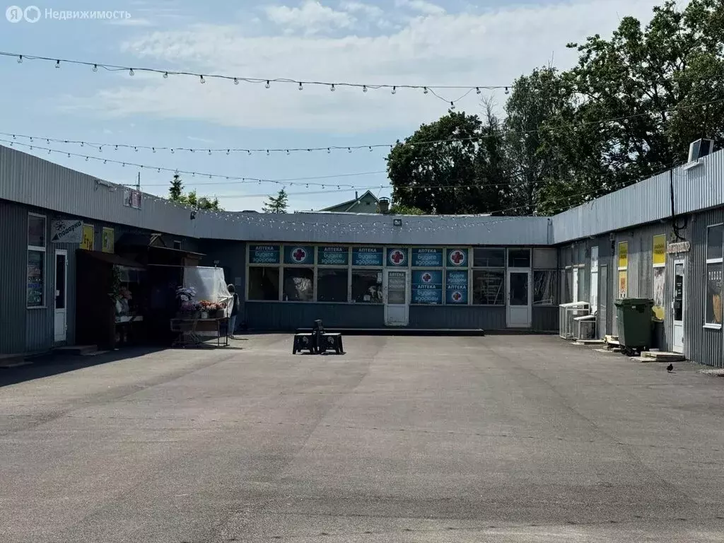 Помещение свободного назначения (250 м) - Фото 1