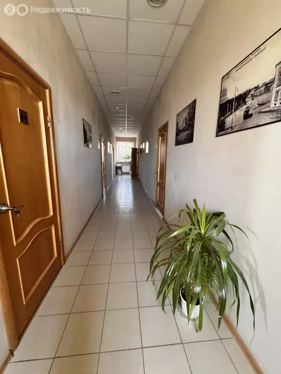 Помещение свободного назначения (16.2 м) - Фото 1