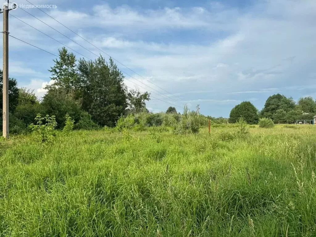 Участок в Республика Мордовия, городской округ Саранск, село ... - Фото 1