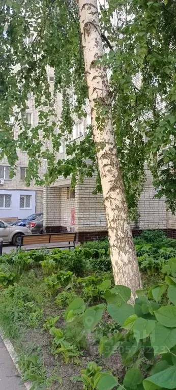 3-к кв. Саратовская область, Саратов ул. Имени Е.И. Пугачева, 3/9 ... - Фото 1