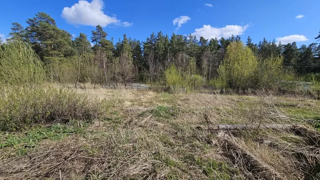 Участок в Алтайский край, Павловский район, пос. Новые зори Клубный ... - Фото 2