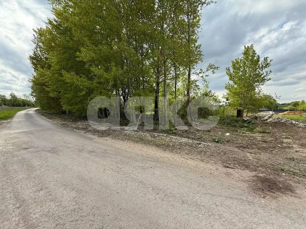 Участок в Тульская область, городской округ Тула, село Зайцево (15 м) - Фото 0