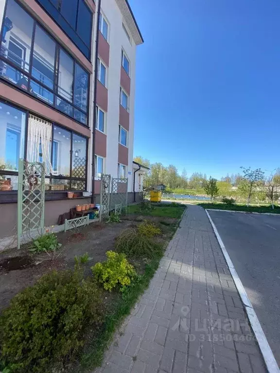 Студия Ленинградская область, Всеволожск ул. Шевченко, 18К3 (30.0 м) - Фото 1